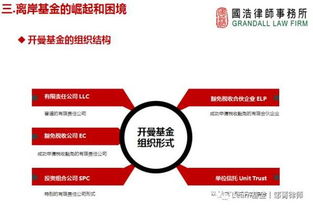 監管升級背景下，海外投資的策略調整與投資管理之道